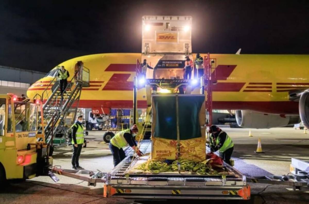 Empresa DHL inicia operações em Aparecida de Goiânia