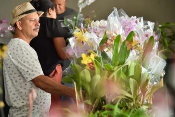 Aparecida de Goiânia fará exposição de orquídeas e rosas do deserto