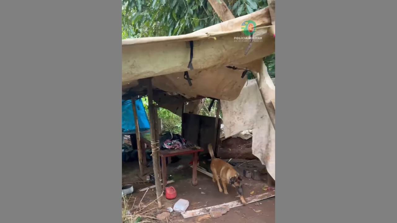 Denúncias levam PM a apreender arma de fogo